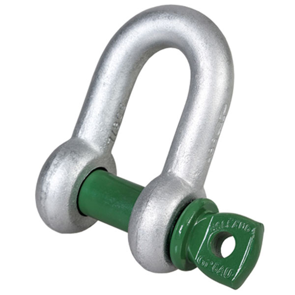 d-ring-shackle-600x600