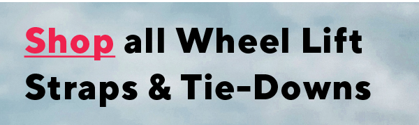 Wheel Lift Straps & Tie-Downs